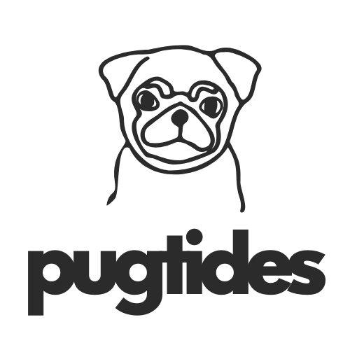 Pugtides